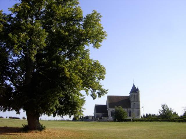 eglise de sacquenville