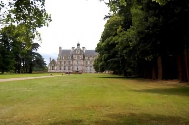 The Castle seen from the park