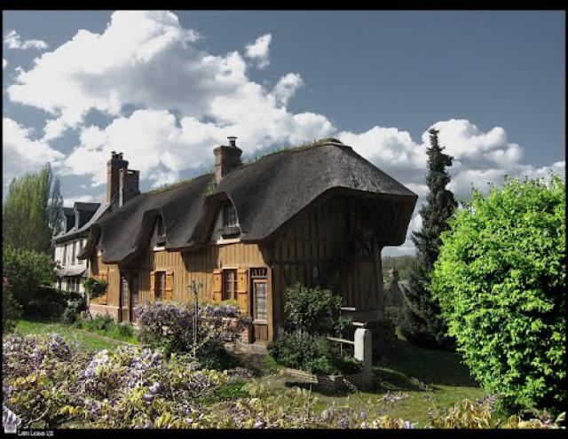 Vieux-Chaume Normand.