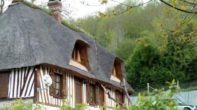 Normandy cottage with irises on the roof