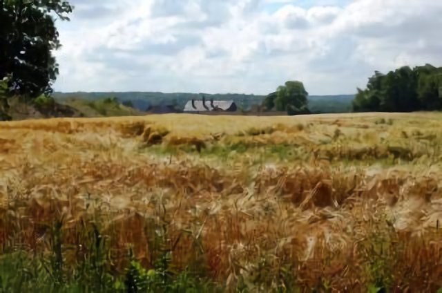 Paysage
