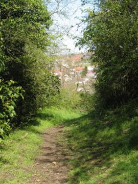 Sentier sur les coteaux