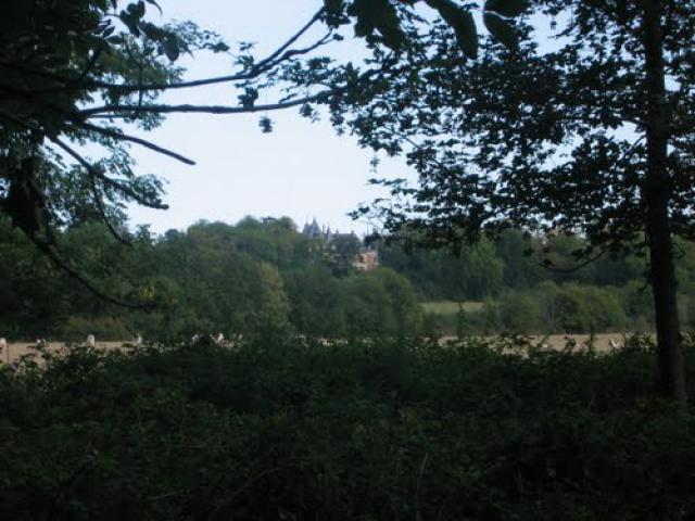Breuil