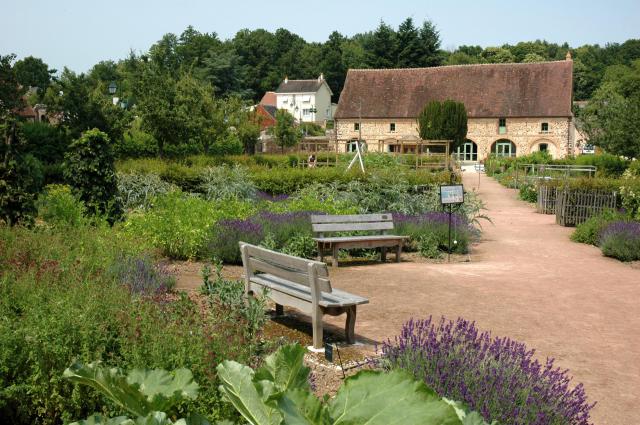 Jardin de l'abbaye de la Sainte-Trinité de Tiron