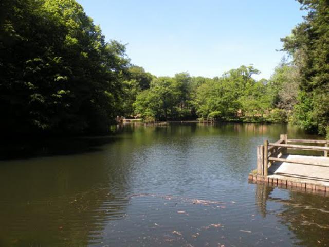 GUILERS, l'étang du bois de Kéroual.
