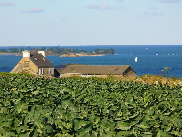 Saint-Pol de Léon, entre terre et mer.