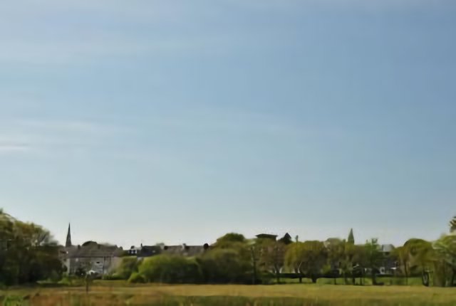 le bourg et la prairie
