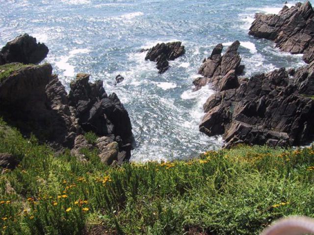 20020801 Trégana