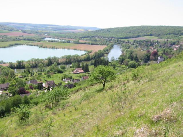 Jaulgonne