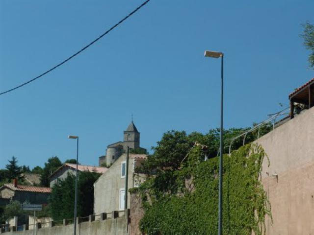 Vigne près de Rochefort du Gard