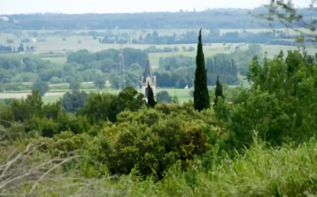 Le clocher de Milhaud-Gard