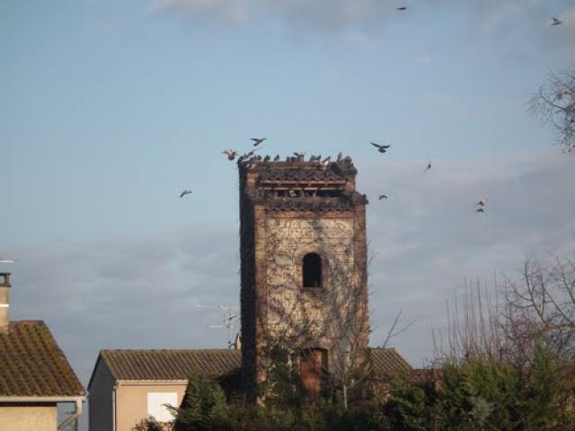 pigeonnier