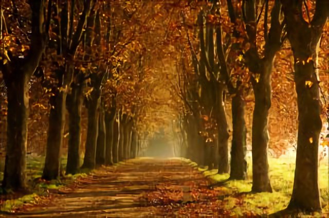 Automne à Toulouse