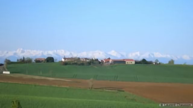 Daujas devant les Pyrénées