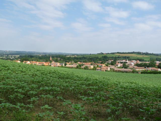 Vue vers l'ouest, Montlaur, Haute-Garonne, France