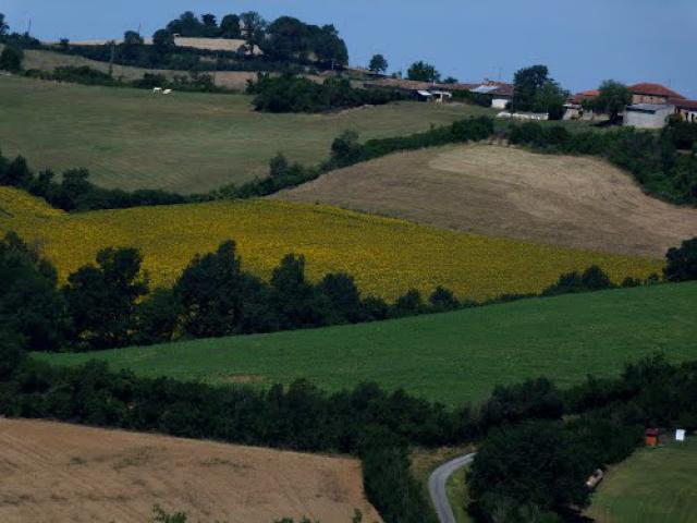La terre de toutes les couleurs.