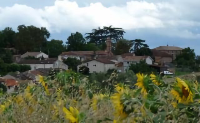 Le village et les tournesols