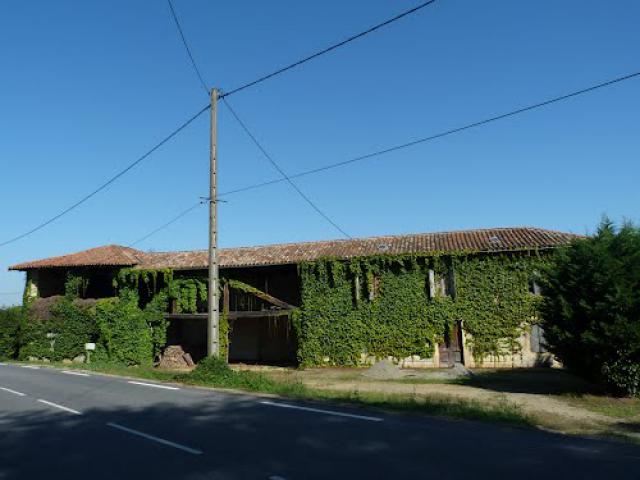 Le lierre envahissant.
