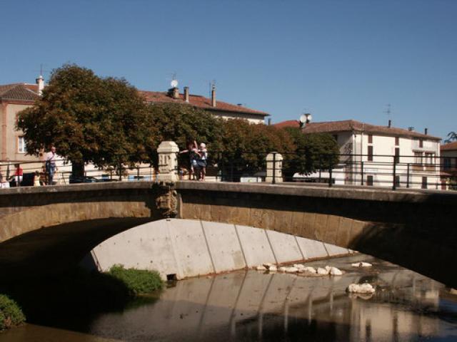 L'Isle en Dodon