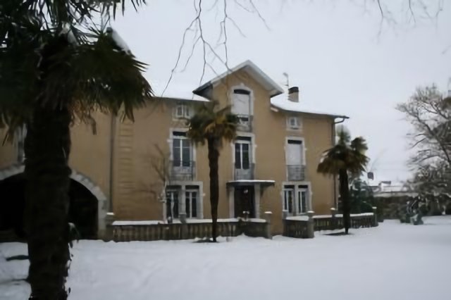 Les palmiers sous la neige