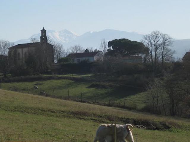 St. Michel Ariège/France