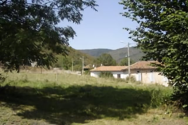 arguenos
