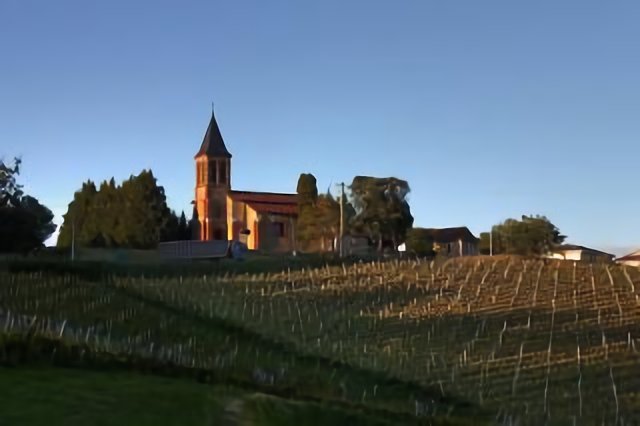 Vineyard at Saint-Lanne, Madiran domaine