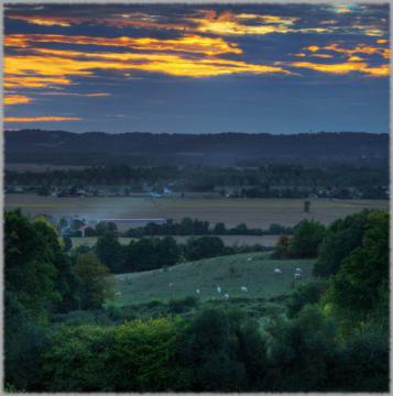 Cows may safely graze