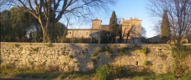 Le château de Cambous vu de la D113 (1)
