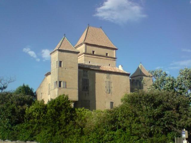 chateau de ribaute XIII siècles