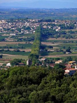 Allée bei Neffiès