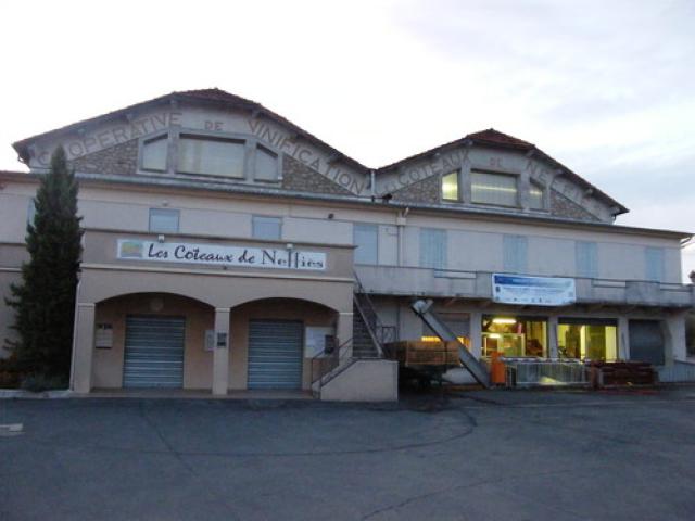 Cave coopérative de Neffies 34320