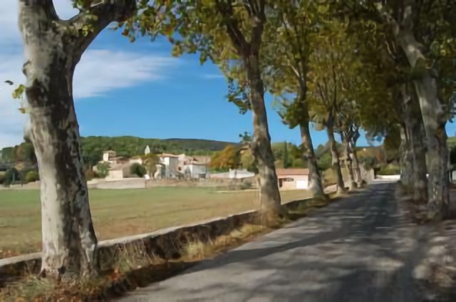 Allée des Platanes à Lieuran-Cabrières