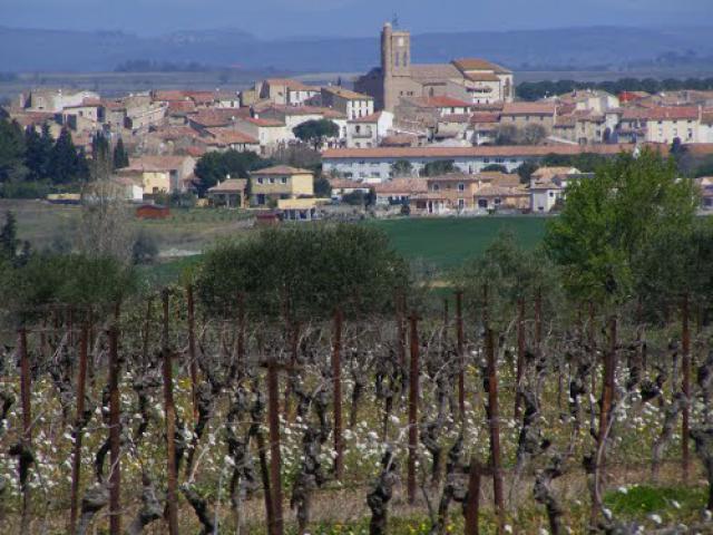 Vue NE à SERVIAN N43°24°35 E3°17°29 03.04.2013.JPG