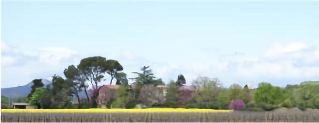 Domaine languedocien