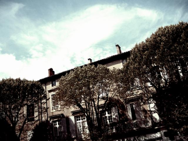 Treeline and houses