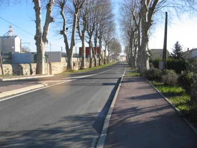 AV des Platanes