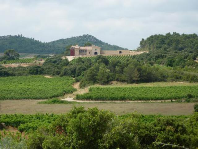 Assignan - (new) Chateau-Castigno