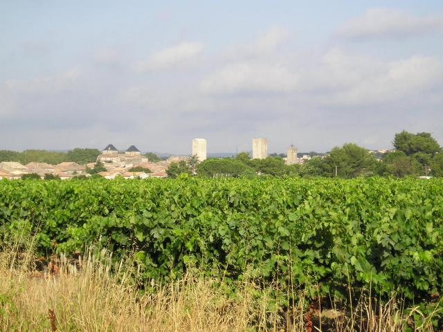 Dans l'Hérault, les tours du vieux centre de Pignan, de gauche à droite : les deux tours du château de Turenne (mairie), deux hautes tours…