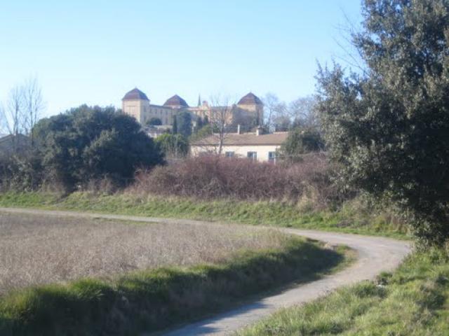 Vue sur le château de Castries (de face)