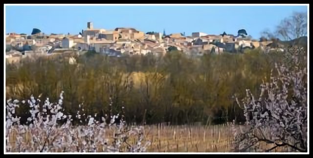 Castelnau-de-Guers vu de Conas.