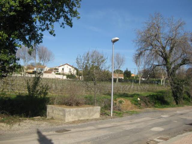 Vinyards