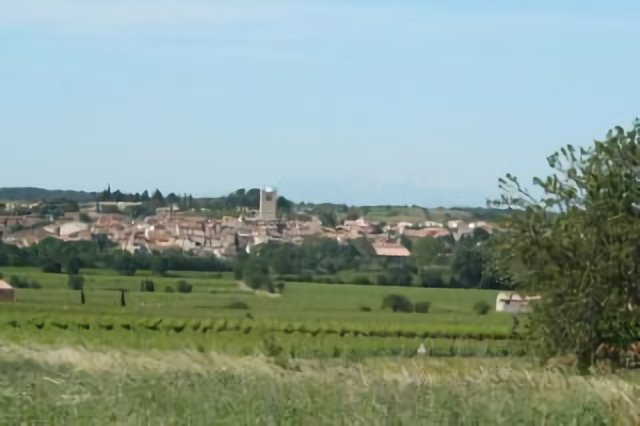 MONTBLANC 34