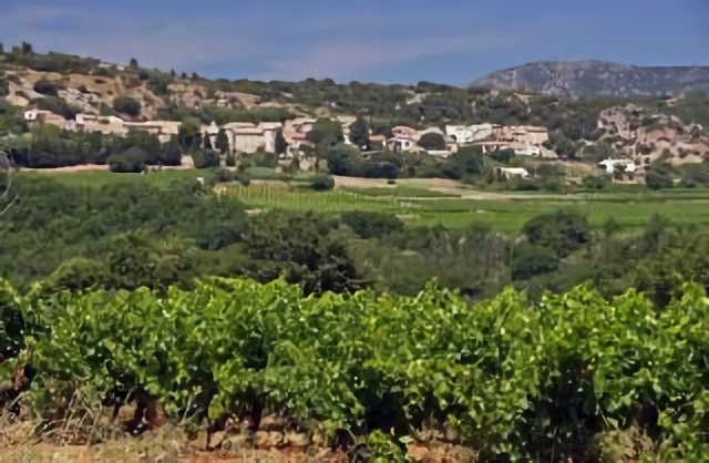 Vignes