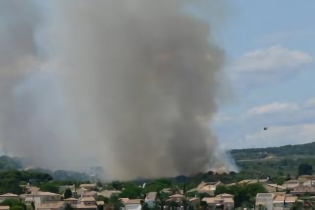 Fire in the garrigue