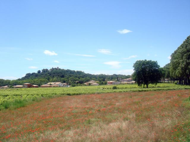 Montferrier sur Lez