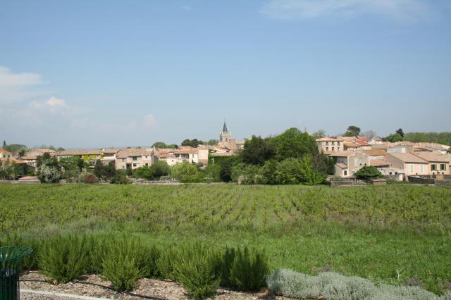 Nizas (Hérault) - vue générale.