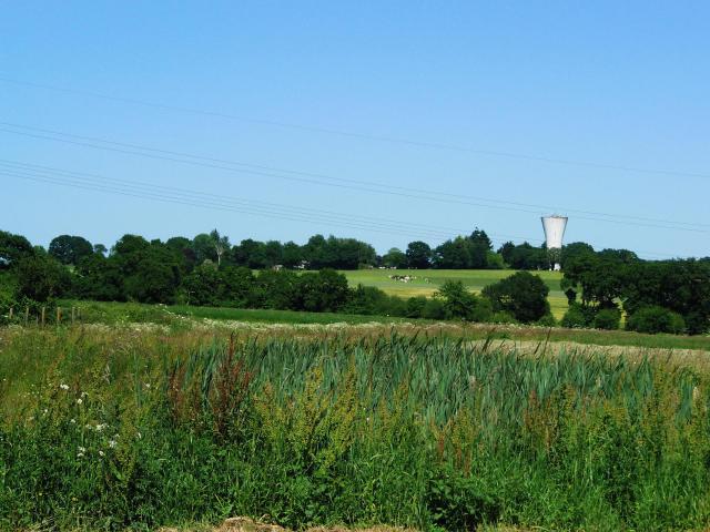 Vue sur la campagne de Cesson-Sévigné (en direction du lieu-dit Le Roquet).