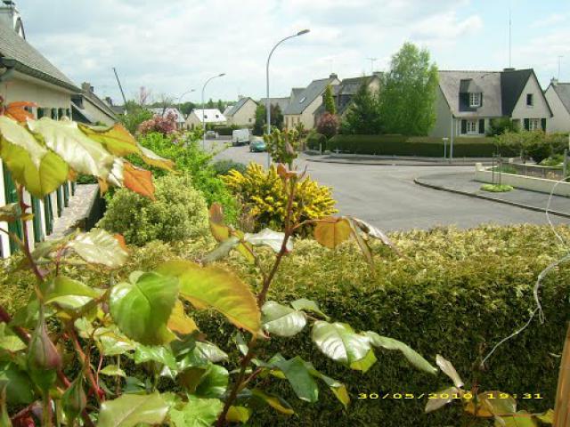 rue des erables