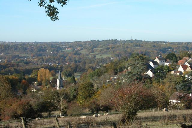 Vue générale du Pêchereau, (Indre)